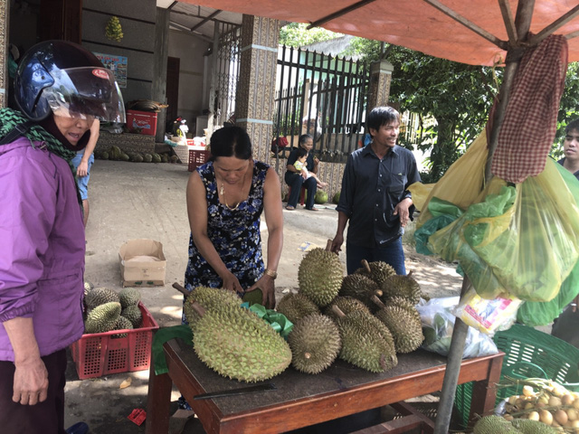 Nhiều người mua rất hào hứng vì được ăn sầu riêng xả láng, đem bán hạt thì được gần giá trị mua ban đầu