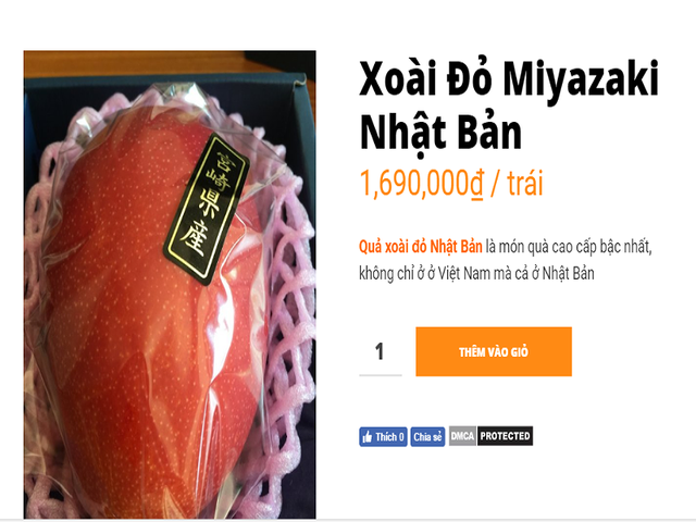 
Một quả xoài đỏ được rao bán với mức giá gần 1,7 triệu đồng/trái. Ảnh: Vinfruits
