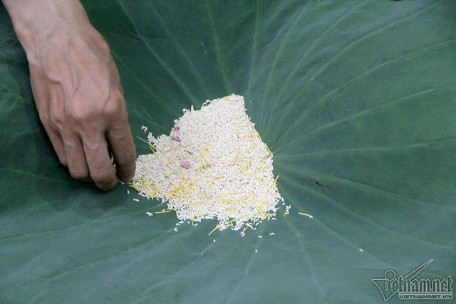 
Với mỗi 1kg trà, người ta phải dùng hai lạng gạo sen cho một lần ướp
