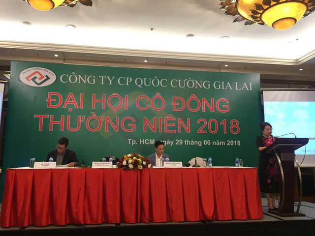 Bà Nguyễn Thị Như Loan, Chủ tịch HĐQT QCG thông tin đến các cổ đông về tình hình hoạt động của công ty.
