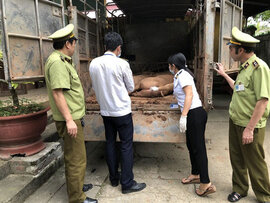 Đáng sợ: Thịt lợn Trung Quốc ồ ạt tuồn về Việt Nam
