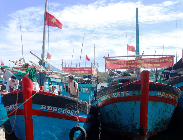 Lộ sai sót rất nghiêm trọng trước đoàn thanh tra EC, Ban quản lý cảng Qui Nhơn bị kiểm điểm