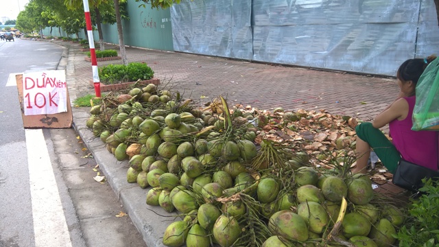 Hàng loạt các mặt hàng hoa quả Việt Nam chọn vỉa hè làm chốn dung thân