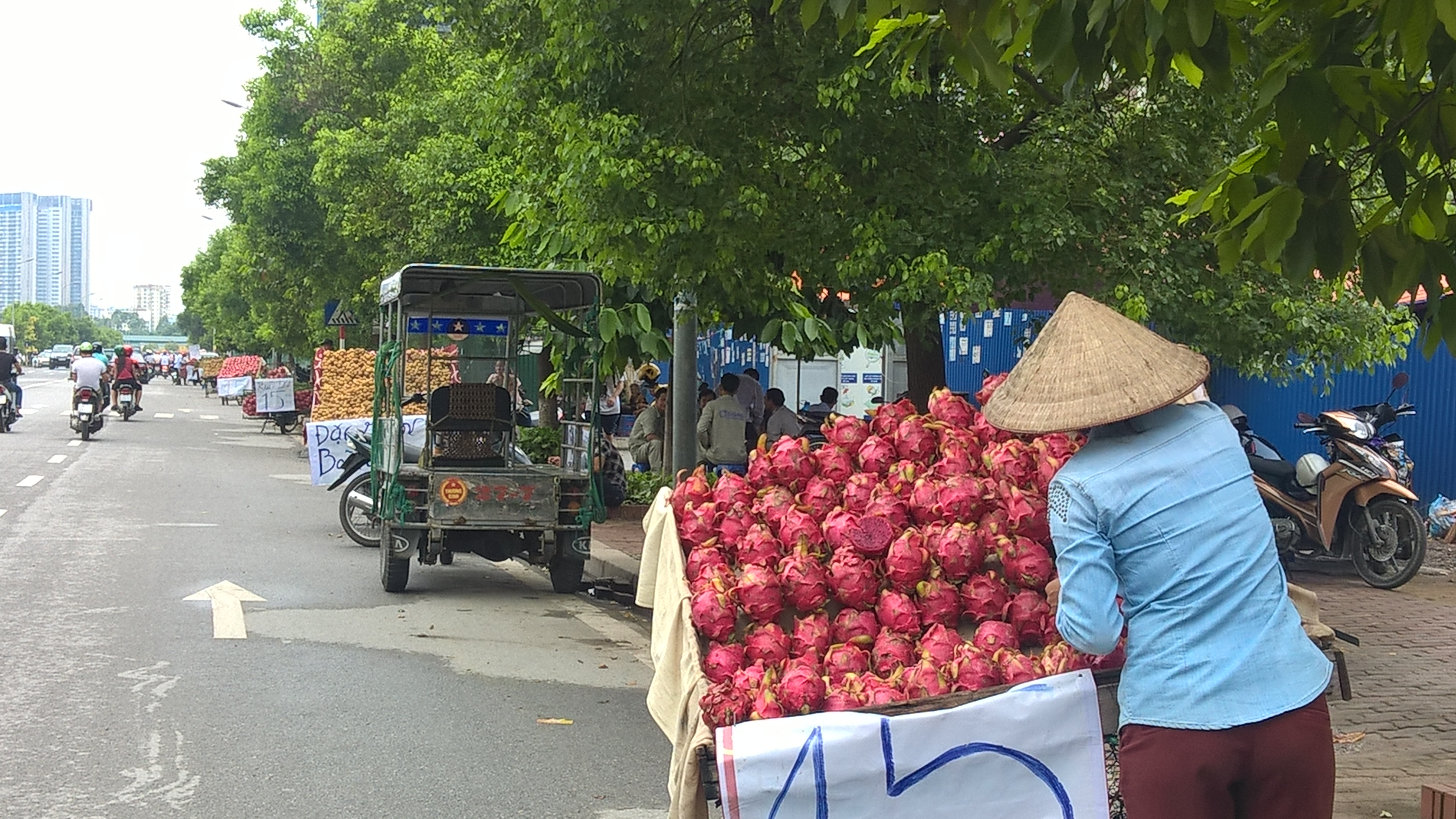 Thanh Long ruột đỏ - thương hiệu xuất khẩu của Việt Nam bán tại vỉa hè với giá 15.000 đồng/kg