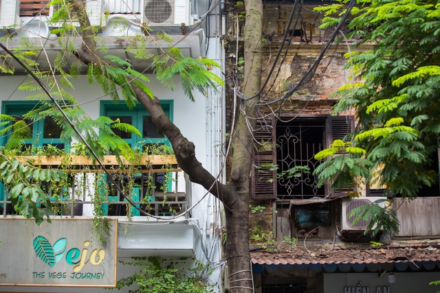 Hàng nghìn nhà phố Pháp cổ chờ sập tại Hà Nội: Cứu hết là điều không thể - 4