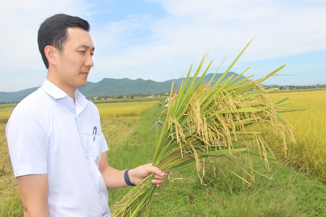 9X bỏ việc an nhàn về quê chế biến gạo, thu trăm tỷ đồng mỗi năm - 2