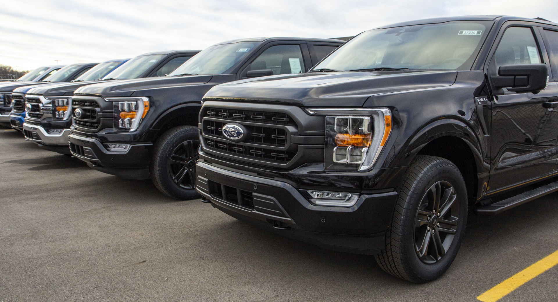 Mỹ: Ford cho xe xuất xưởng trước, kiểm tra chất lượng sau