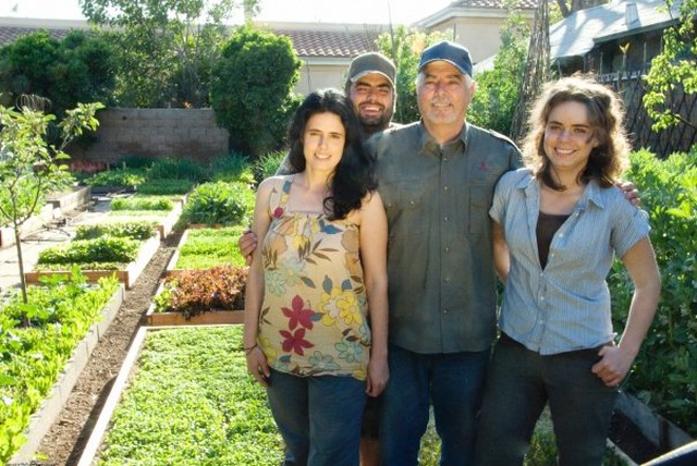 Gia đình biến vườn nhỏ thành nông trại, mỗi năm thu về cả tấn rau - 2