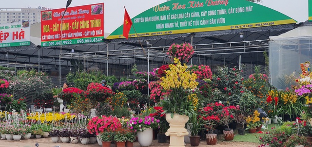 Hà Nội: Hoa đào bung nụ, tiểu thương bán hoa muốn đánh nhanh rút gọn  - 2