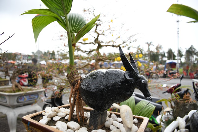 Độc đáo bonsai dừa hình trâu thu hút khách Tết Tân Sửu - 2