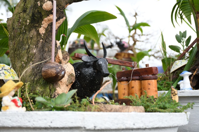 Độc đáo bonsai dừa hình trâu thu hút khách Tết Tân Sửu - 5