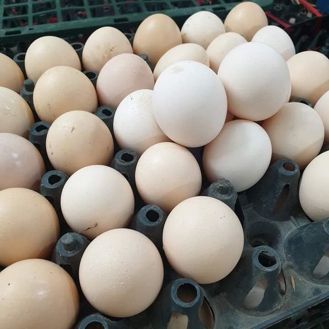 Trứng gà giảm giá kỷ lục, được rao bán la liệt rẻ chưa từng có - 1