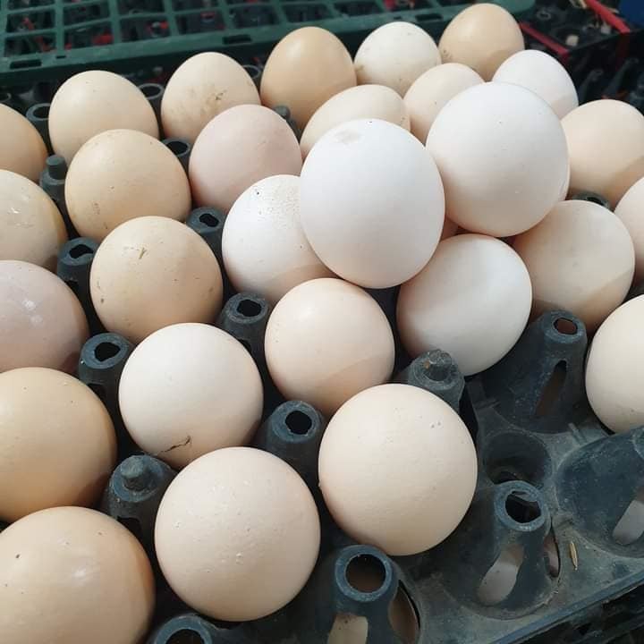 Trứng gà giảm giá kỷ lục, được rao bán la liệt rẻ chưa từng có