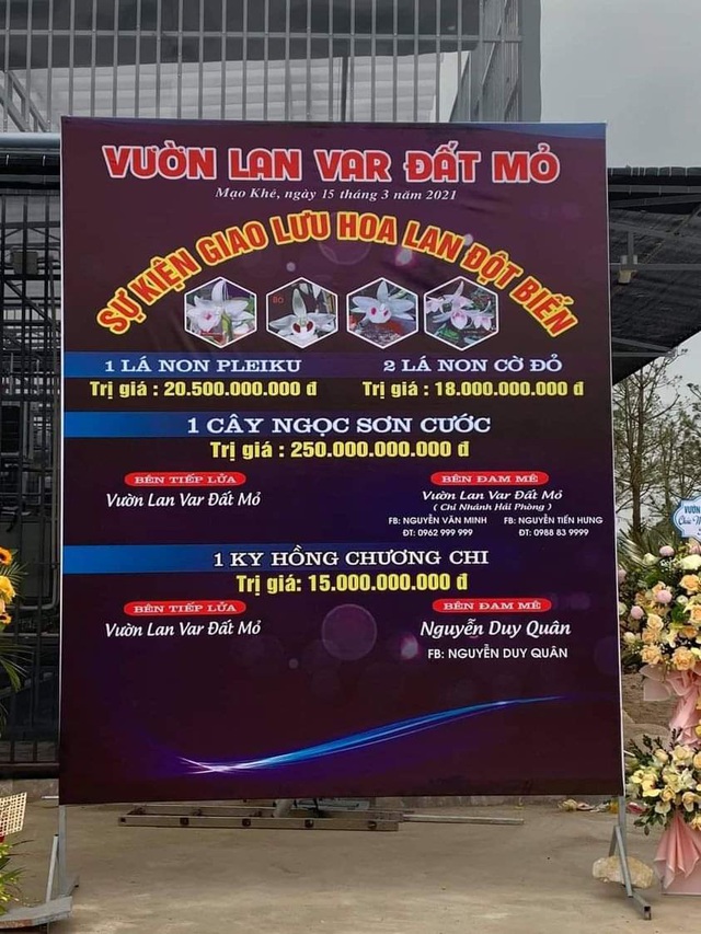 Nghi vấn quanh vụ mua bán lan var Ngọc Sơn Cước 250 tỷ đồng ở Quảng Ninh - 1