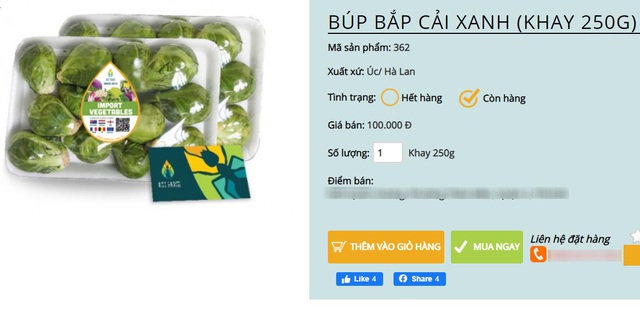 Bay từ Australia về Việt Nam, bắp cải tí hon được hét giá 400.000 đồng/kg - 2