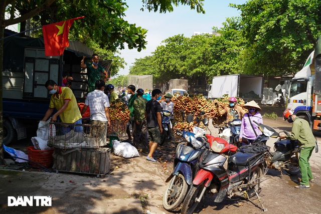 Bắc Giang: Nông dân kêu trời vì giá vải thiều lên xuống thất thường - 1