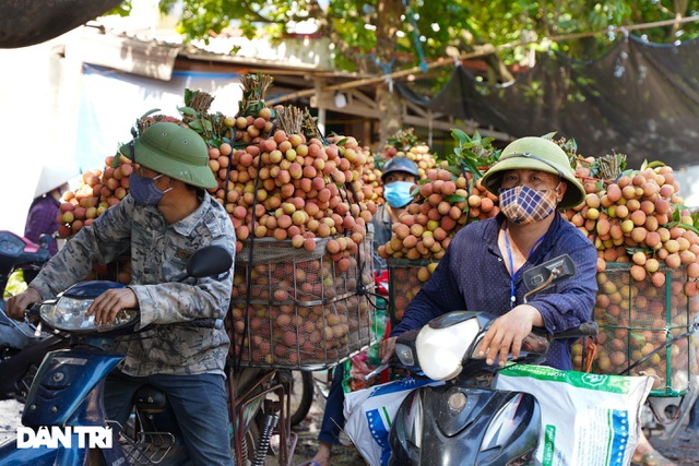 Bắc Giang: Nông dân kêu trời vì giá vải thiều lên xuống thất thường - 5