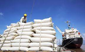 VCCI góp ý Dự thảo Nghị định về kinh doanh xuất khẩu gạo do Bộ Công Thương soạn thảo