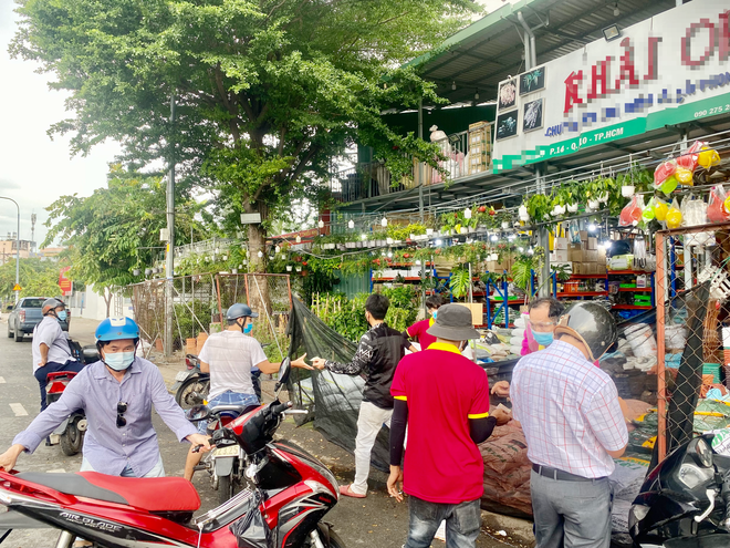Dân Sài Gòn thích làm vườn mùa dịch, giới kinh doanh cây trồng hốt bạc - 3
