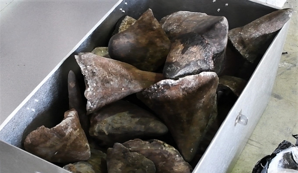 Hàng tấn xương động vật hoang dã, sừng tê giác vừa về cảng Đà Nẵng bị bắt giữ