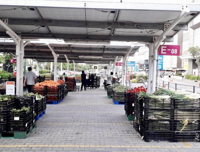 TPHCM: Siêu thị giảm giá 50% cho rau củ quả Đà Lạt, rẻ nhất 15.000 đồng/kg - 1