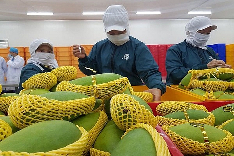 6 loại trái cây tươi của Việt Nam được phép xuất khẩu sang Hoa Kỳ 