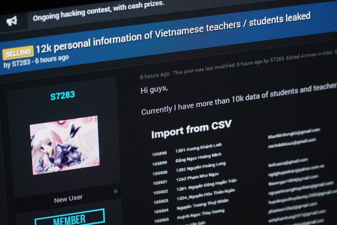 Hacker rao bán hơn 12.000 hồ sơ của giáo viên, sinh viên Việt Nam? - 1