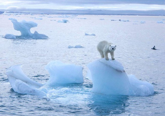 Bắc Cực Xanh mở rộng cánh cửa cho Mỹ ở Thái Bình Dương - 1