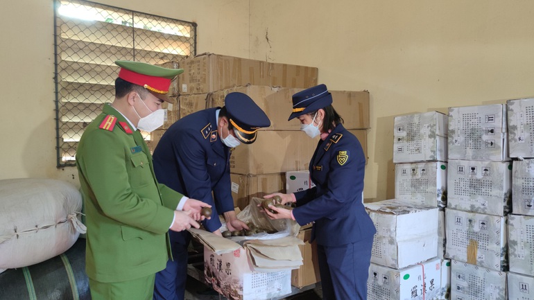 1,8 tấn dược liệu không xuất xứ tuồn vào Lào Cai bị thu giữ - 1