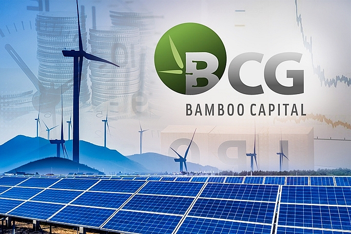 Lợi nhuận Bamboo Capital 