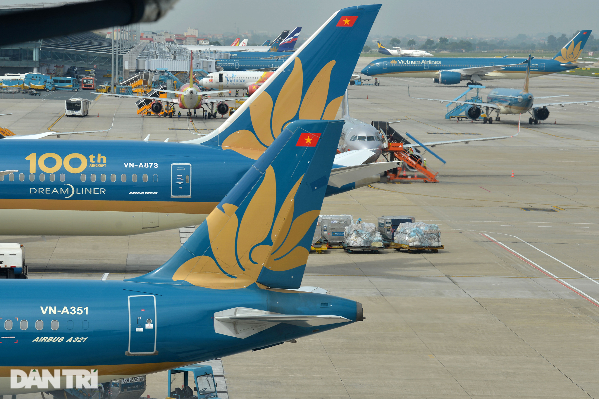 Vietnam Airlines lên tiếng về tình trạng cổ phiếu trong diện bị kiểm soát