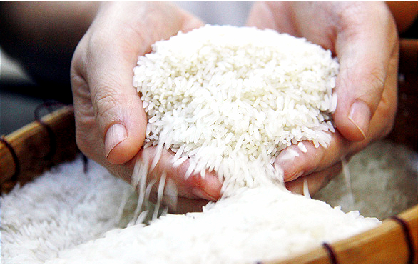 Ấn Độ cấm xuất khẩu gạo, cổ phiếu lương thực bứt phá