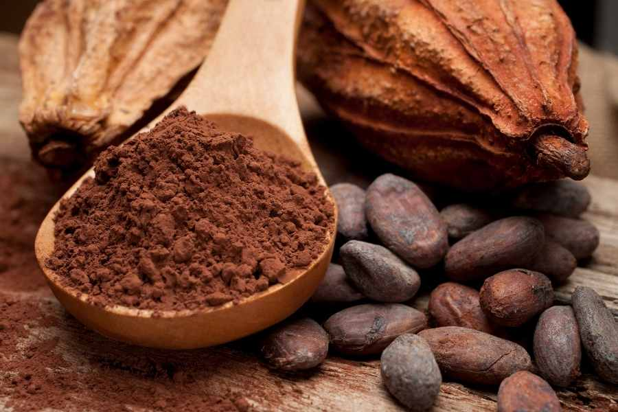 Khi cacao đắt đỏ hơn đồng